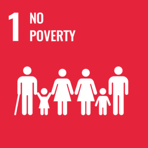 Text with red background: No poverty
